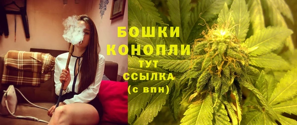 тгк Магас