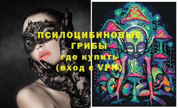 тгк Магас