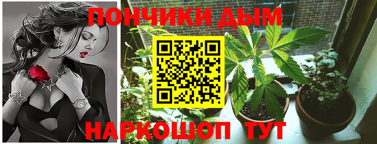 Конопля план  Шишки марихуана гибрид  Марихуана OG Kush  Канабис Ganja  Тында 